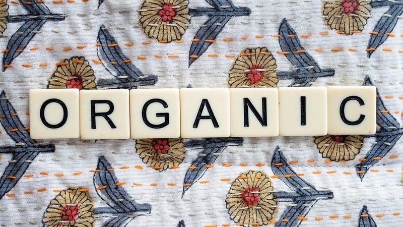 Toxin-Free Lifestyle